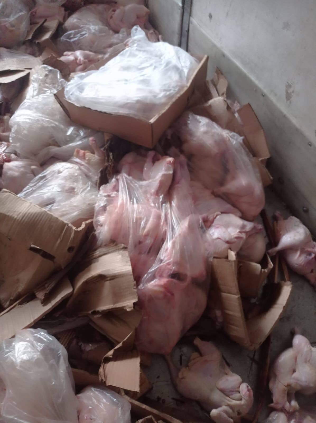 بالصور: اتلاف 6 طن من الدجاج الفاسد وسط قطاع غزة