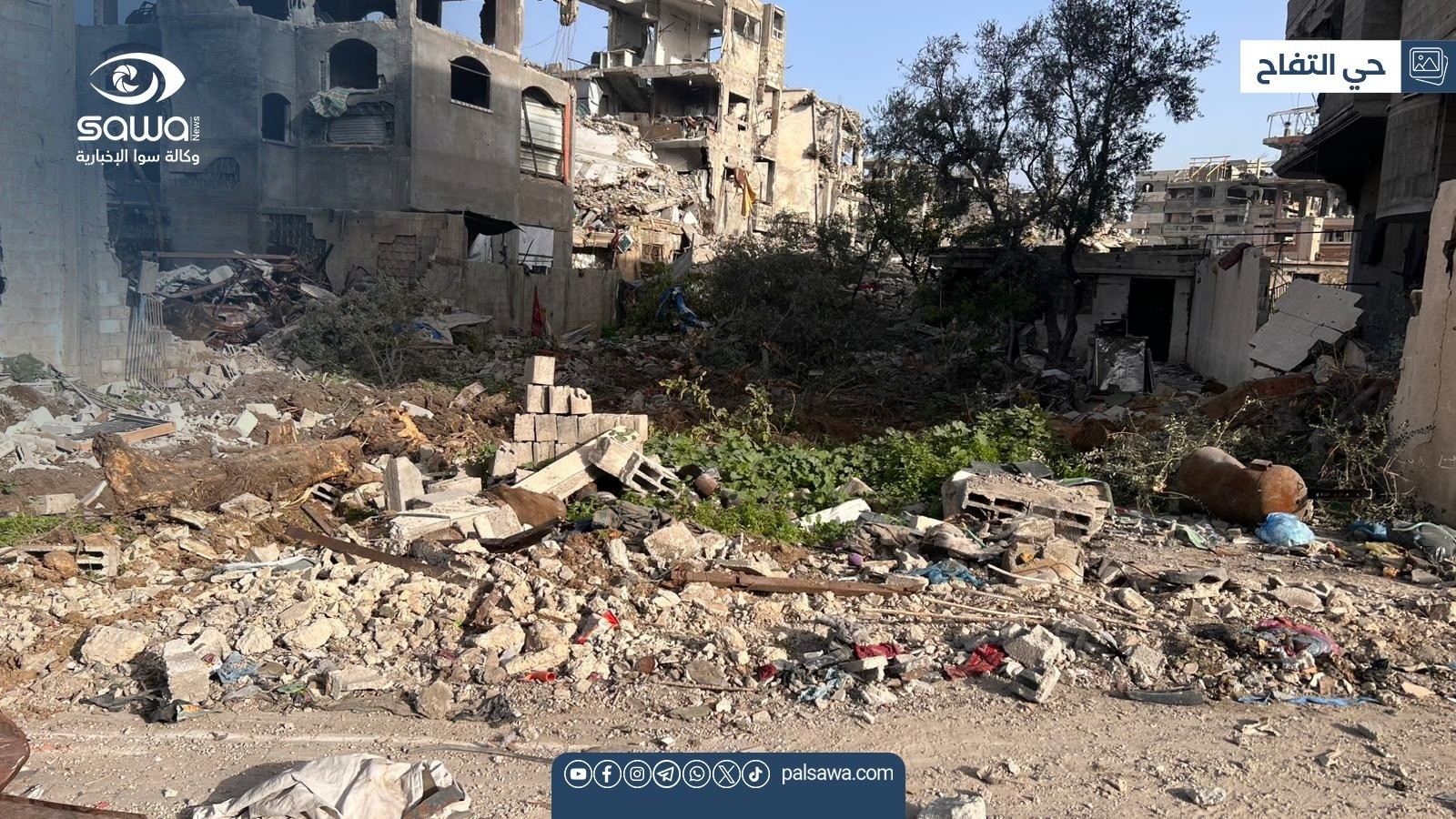 WhatsApp Image 2026-01-27 at 11.34.44 AM (1).jpeg