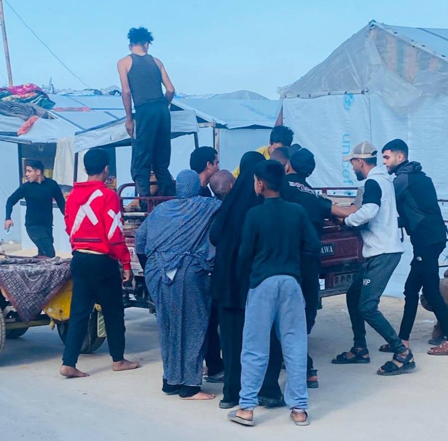 10d30253-e38c-414b-b334-d1133ac7f56b.jfif