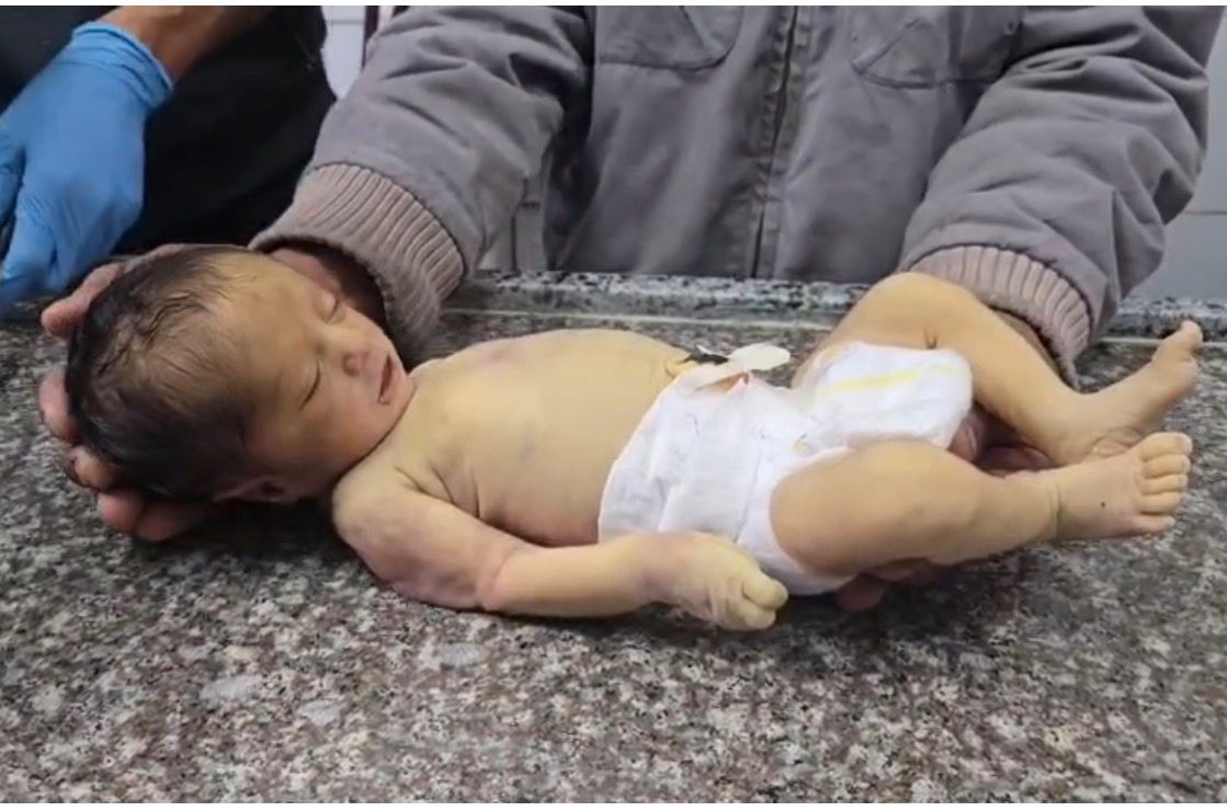 WhatsApp Image 2026-01-10 at 10.52.14 AM.jpeg