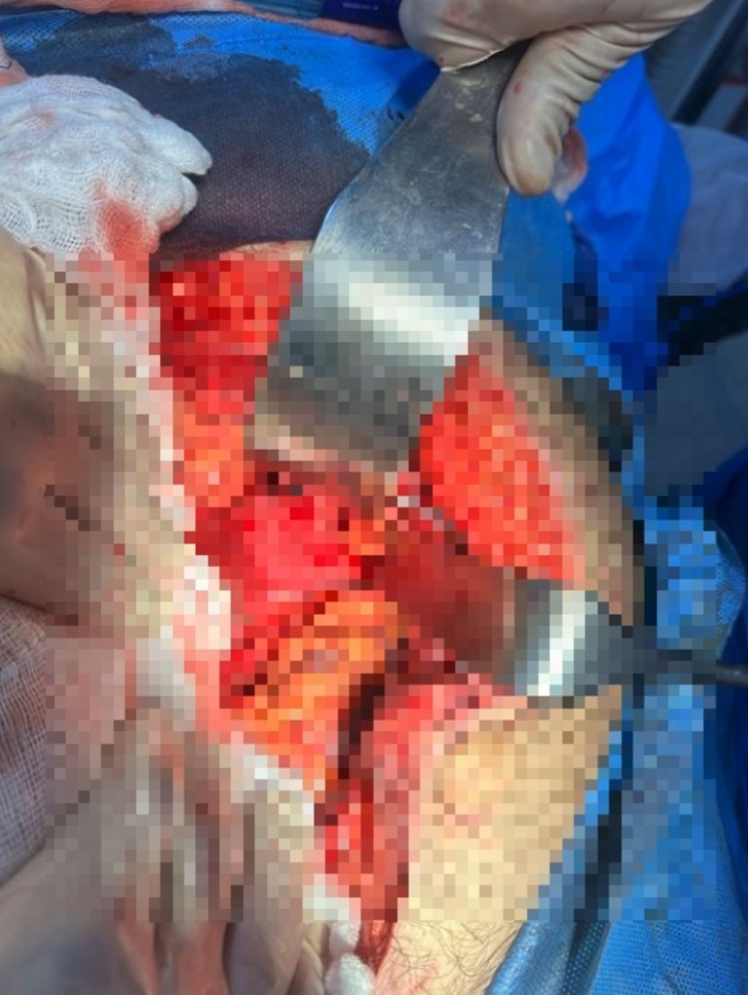 WhatsApp Image 2026-03-06 at 4.37.15 PM.jpeg