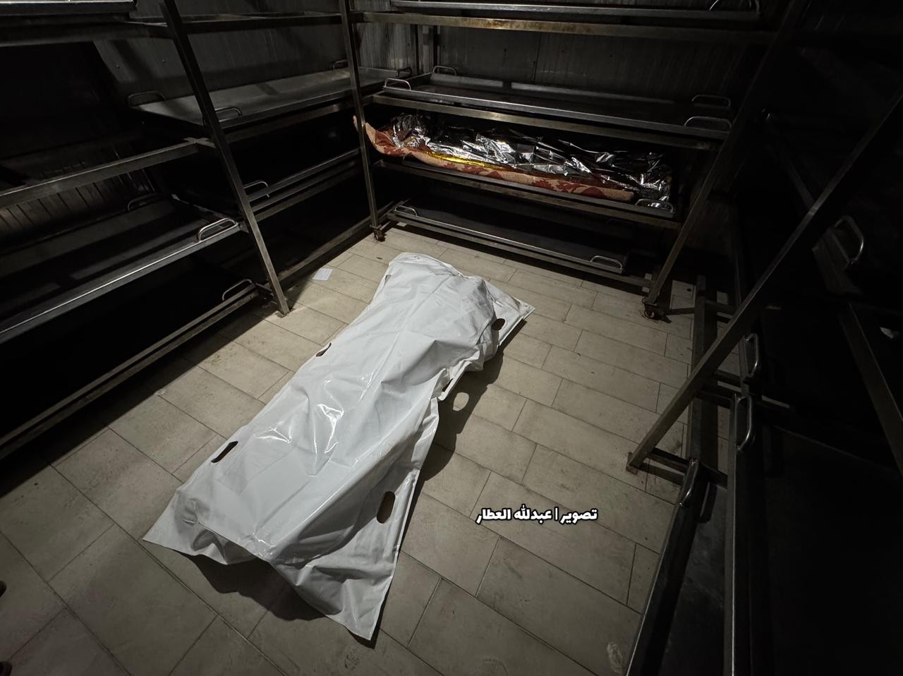 WhatsApp Image 2026-03-14 at 12.57.55 AM.jpeg