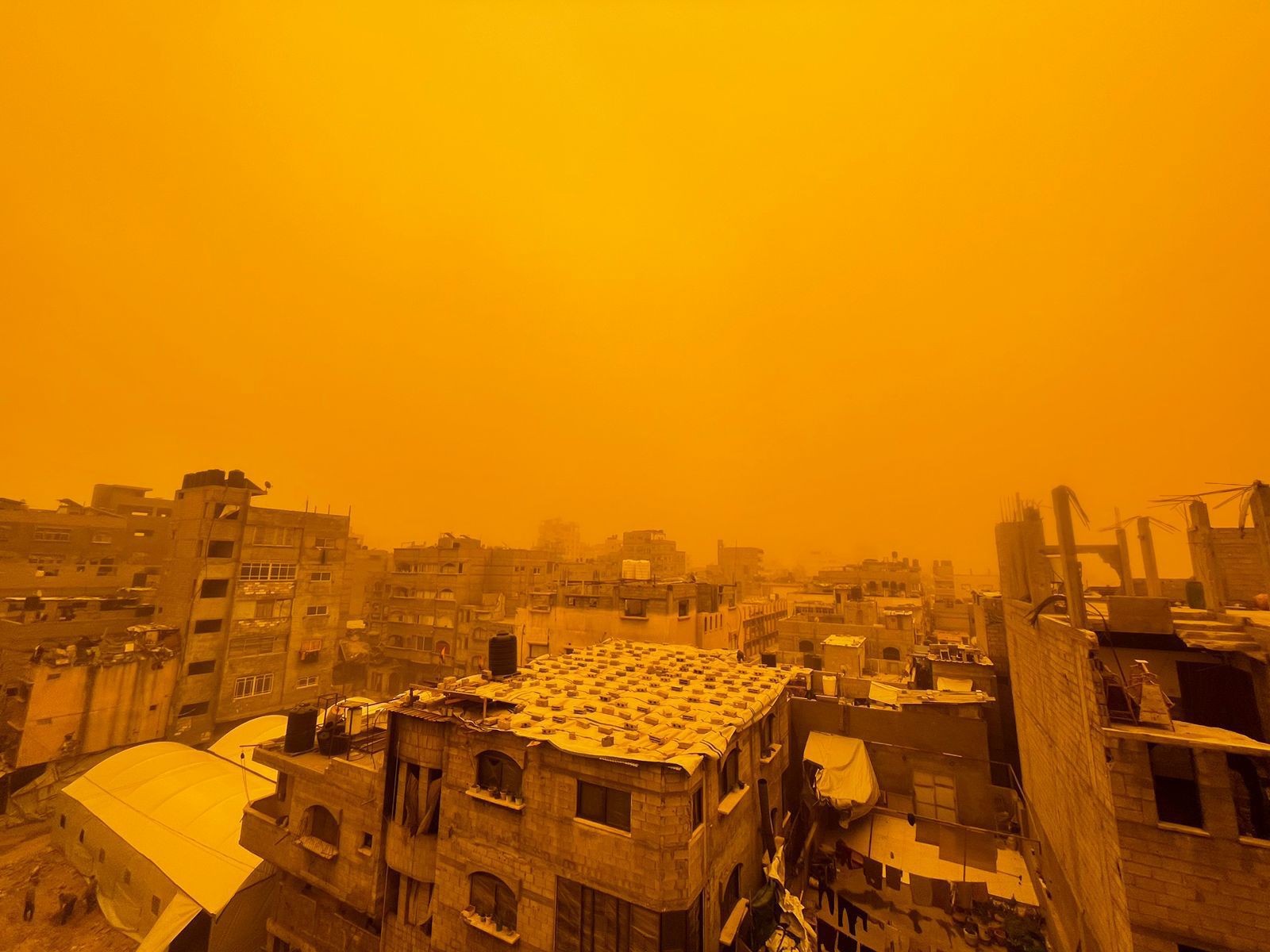 WhatsApp Image 2026-03-14 at 10.24.12 AM.jpeg