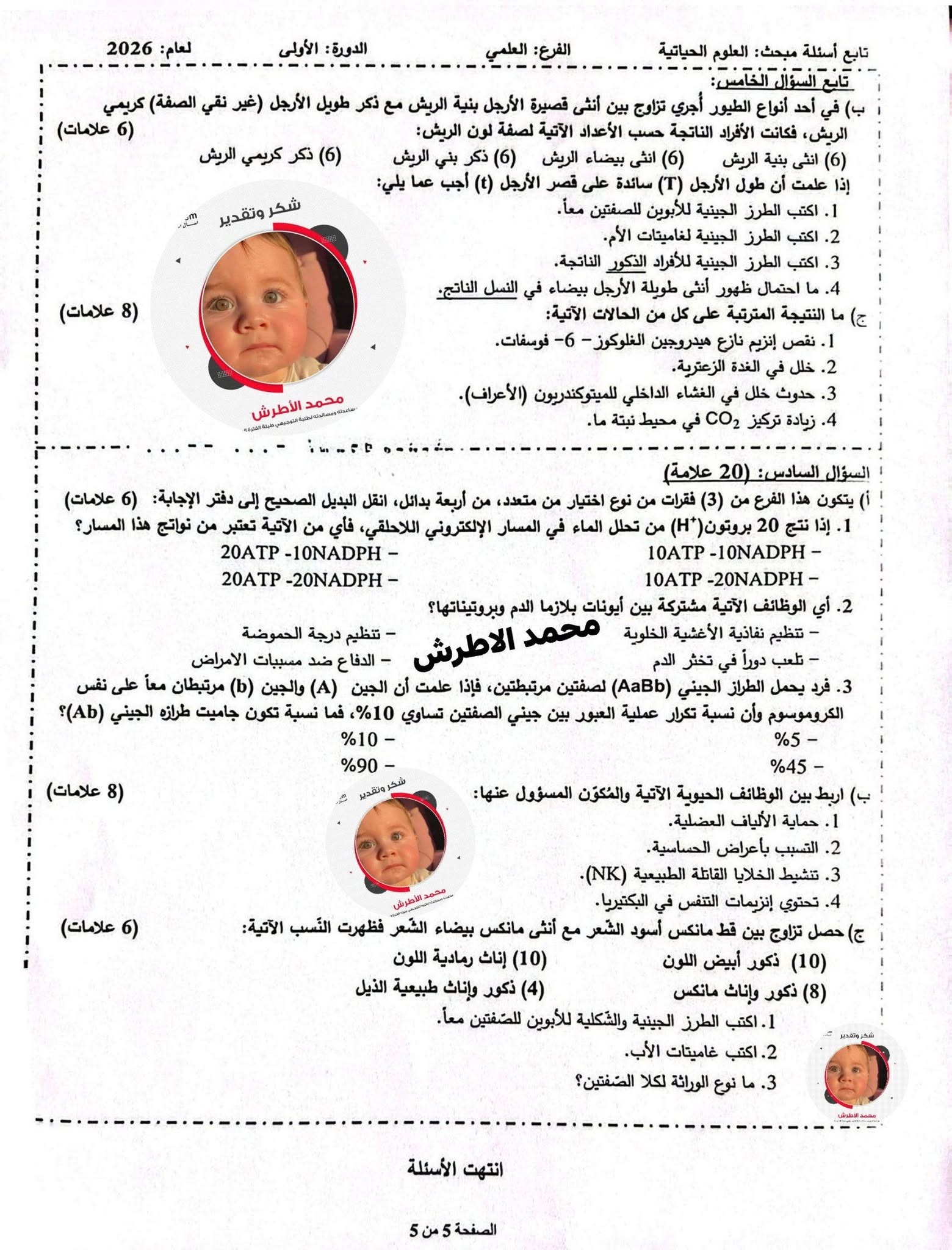احياء 555.jpg