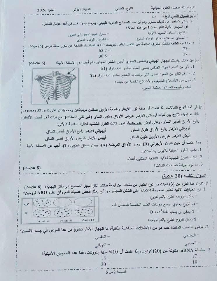 أحياء 2.jfif