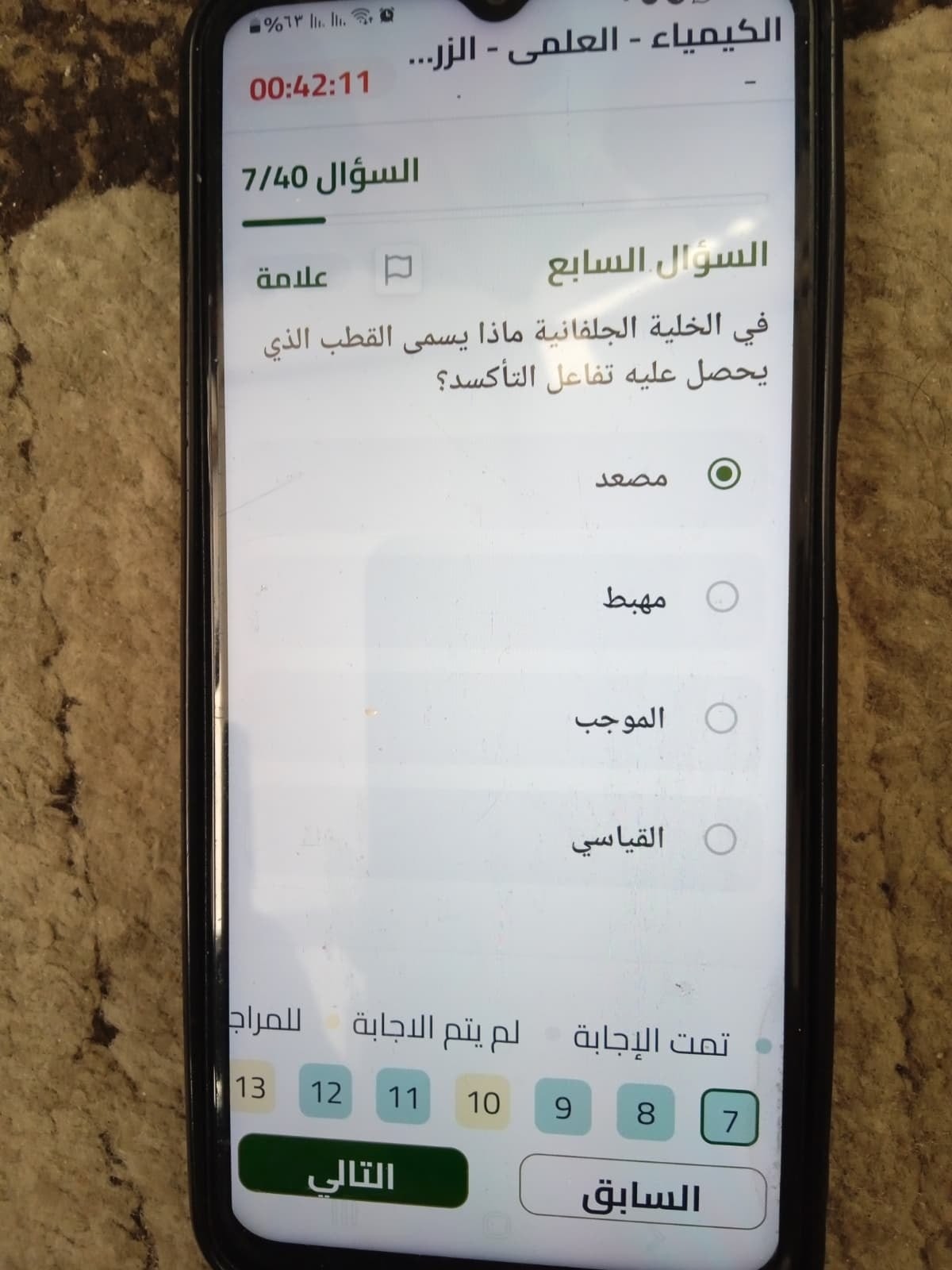 photo_٢٠٢٦-٠٦-٢١_١٠-٢٣-٥٠.jpg