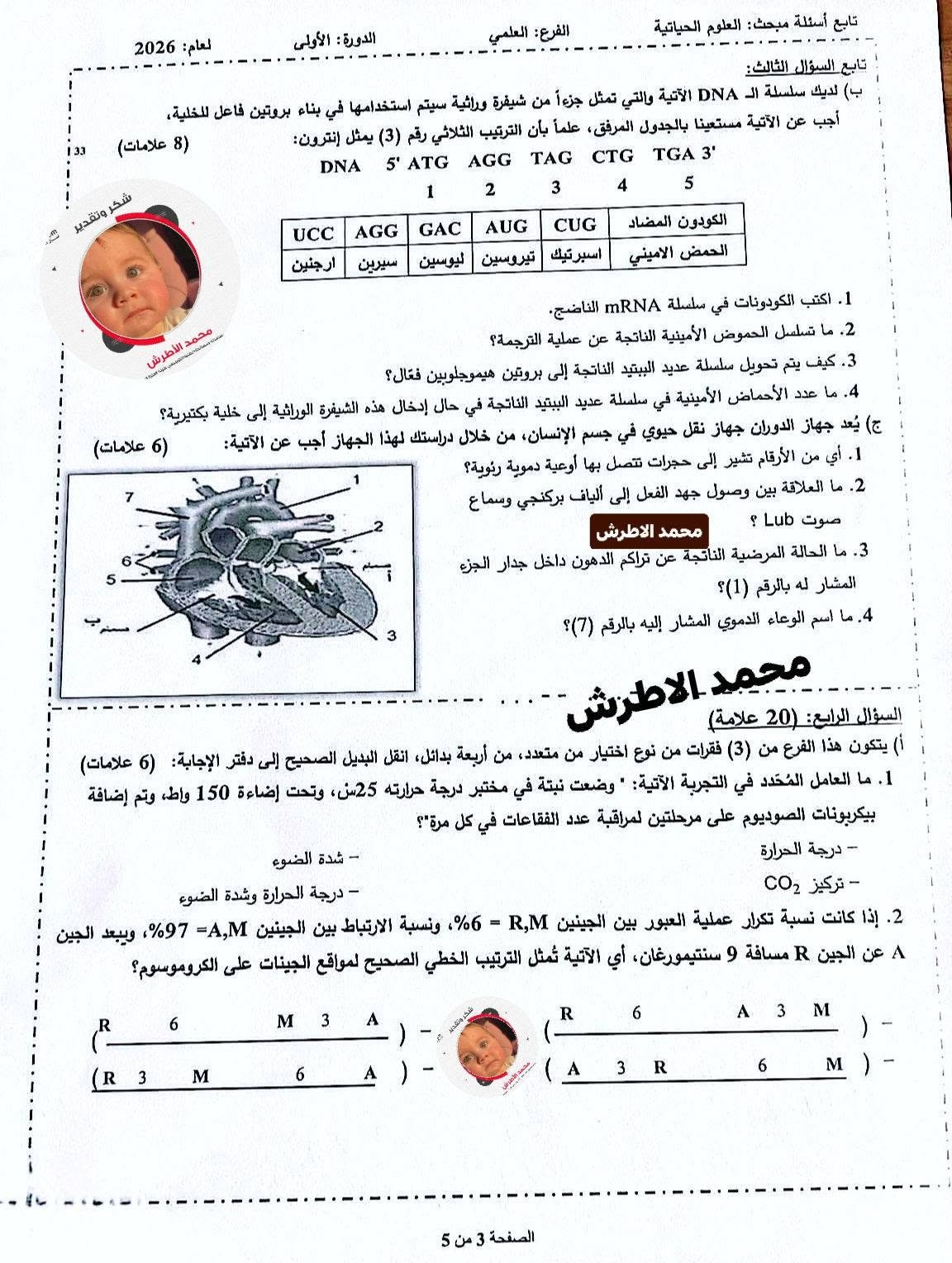 احياء 333.jpg