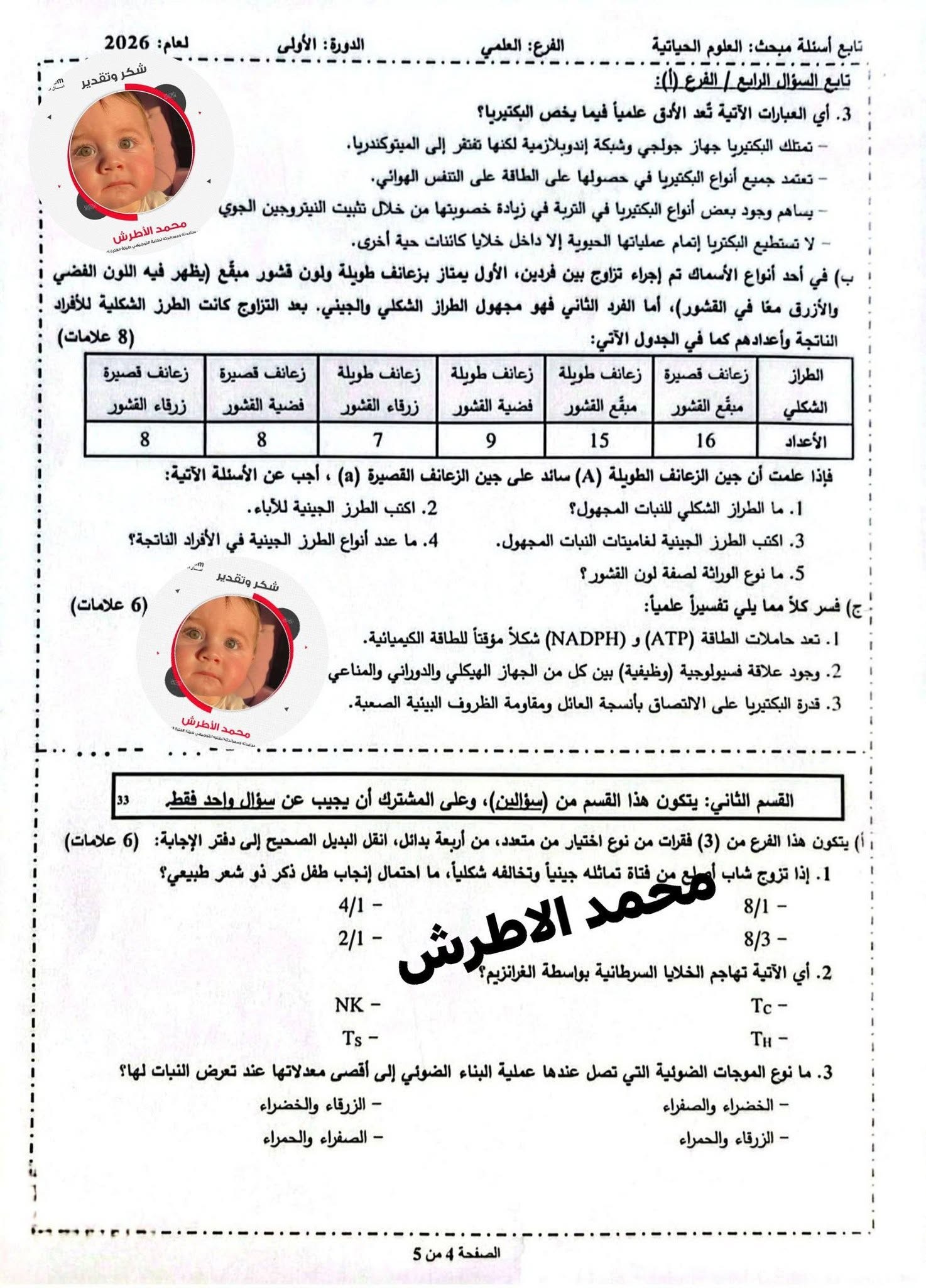 احياء 444.jpg