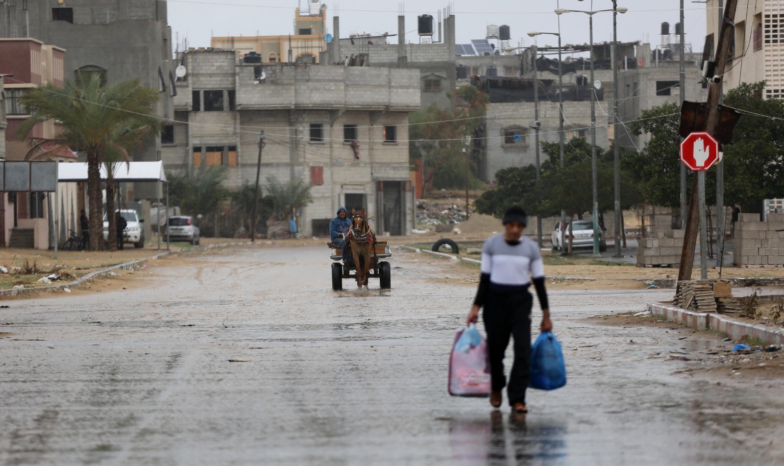 WhatsApp Image 2020-11-26 at 6.28.02 PM.jpeg