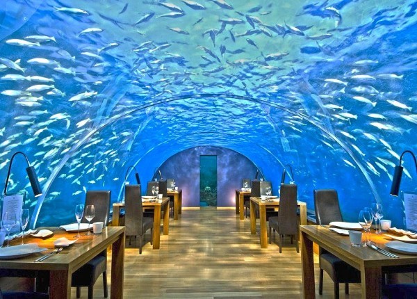 أكبر مطعم تحت الماء في العالم وكالة سوا الإخبارية