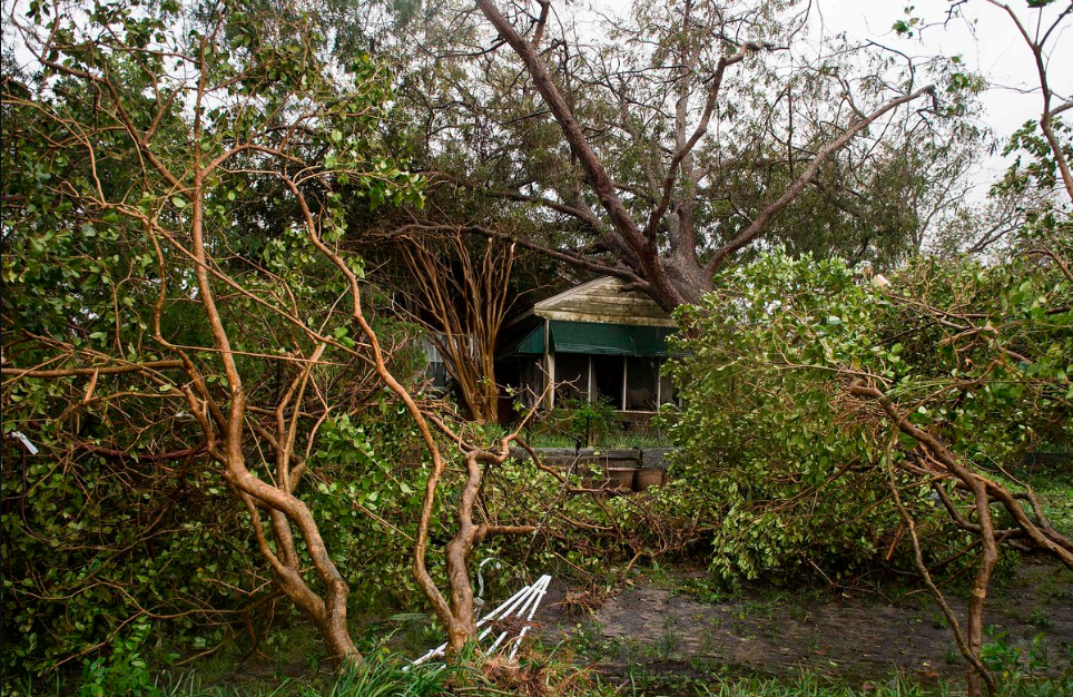 اعصار فلورانس 4.PNG