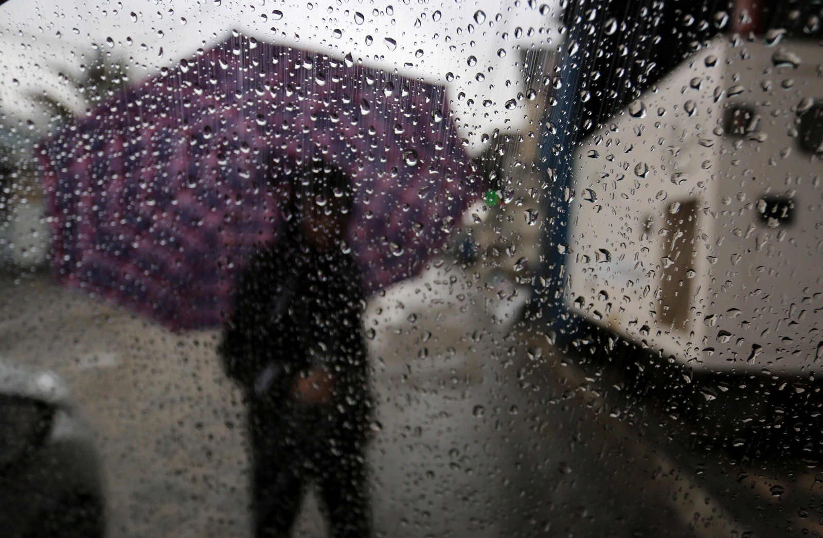 WhatsApp Image 2020-11-26 at 6.28.11 PM (1).jpeg