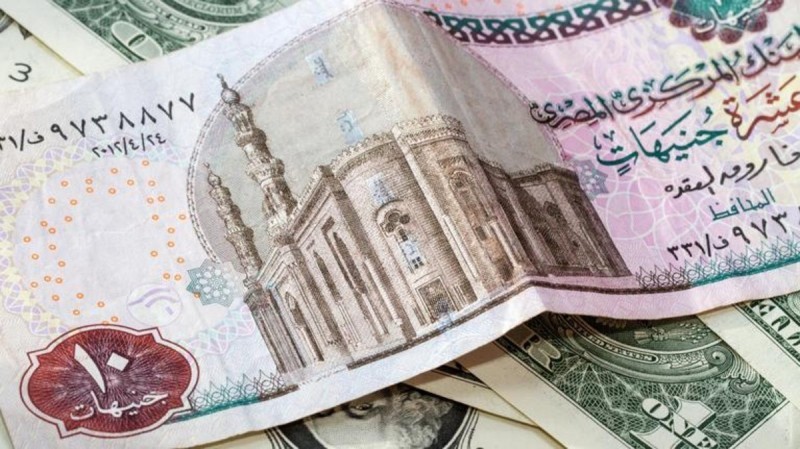 أسعار العملات في مصر الجنيه مقابل الدولار وكالة سوا الإخبارية