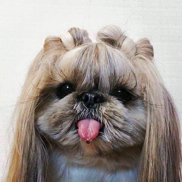 71947420_2138573032911412_4970478657098219520_n (1).jpg