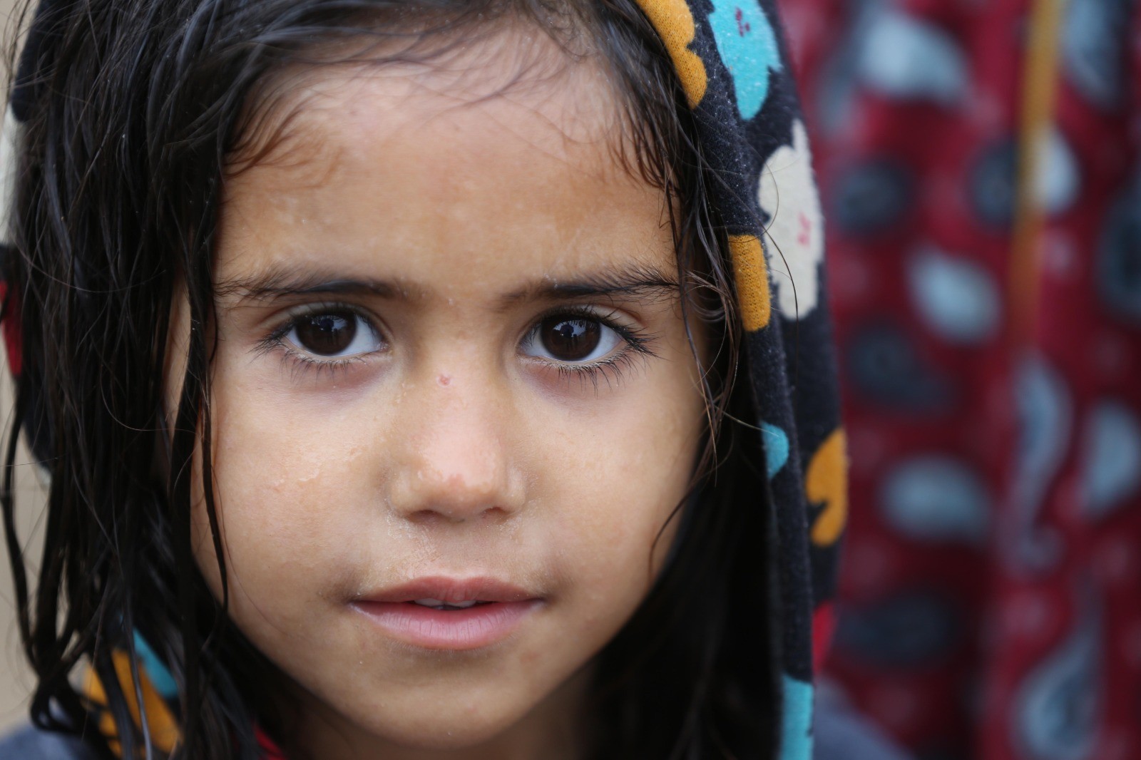 WhatsApp Image 2020-11-26 at 6.28.08 PM.jpeg