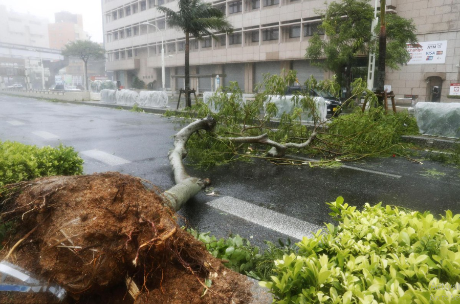 اعصار اليابان 5.PNG