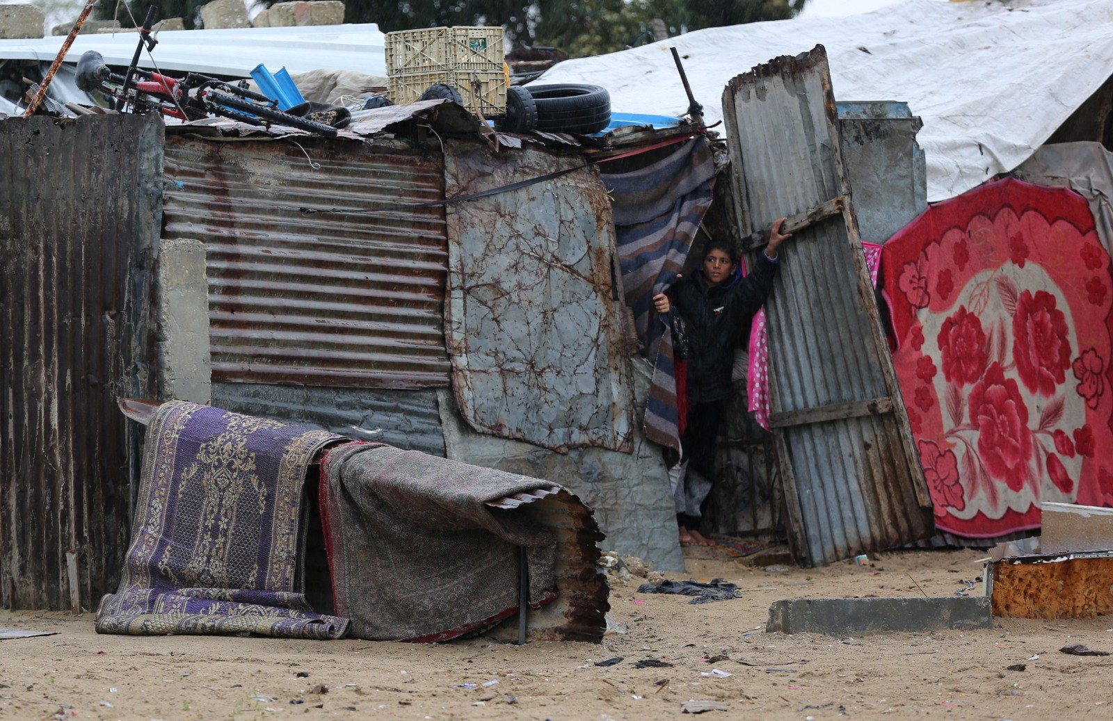 WhatsApp Image 2020-11-26 at 6.28.01 PM.jpeg