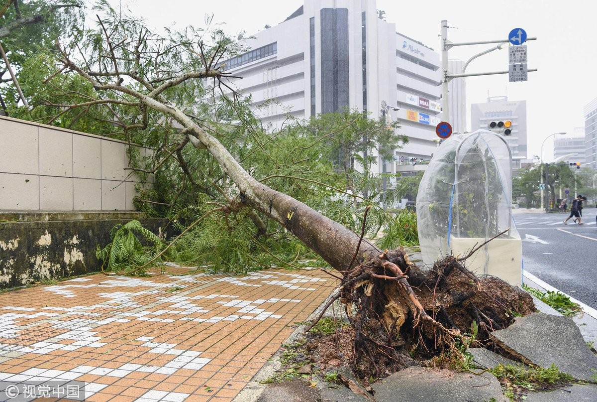 اعصار اليابان.jpg