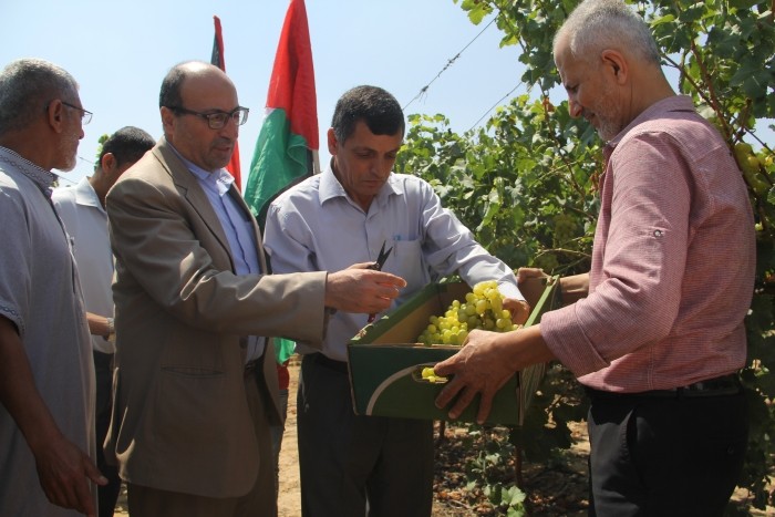 resized_IMG_4335 (1).jpg