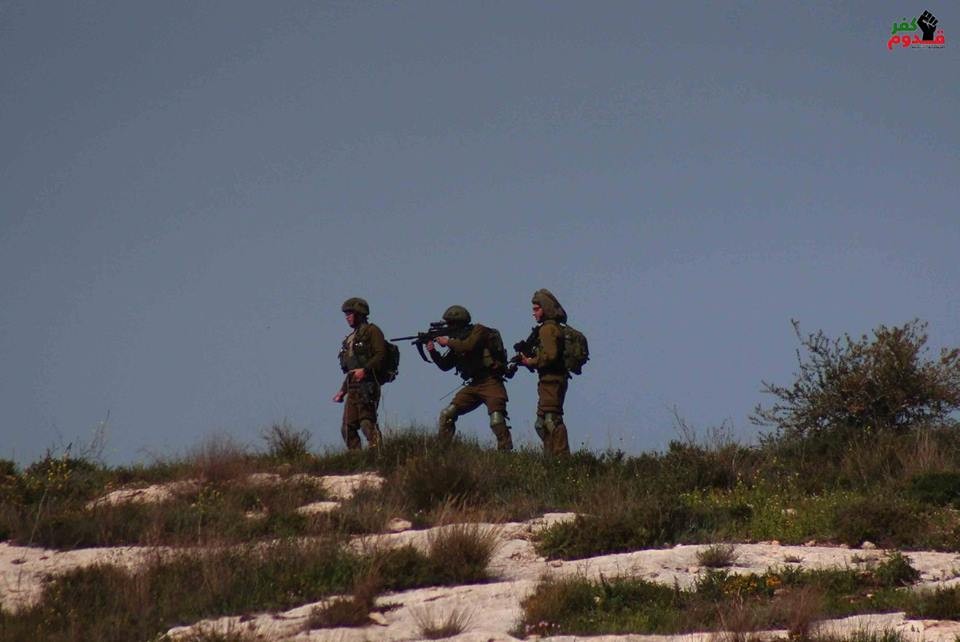 صورة 2-3 صورة 1.jpg