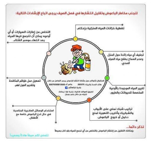 بلدية غزة تدعو المواطنين لإتباع إرشادات مكافحة الحشرات الضارة.jpg