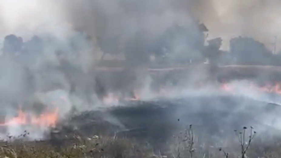 07451918-5873-484a-b962-307f635cc8ff (1).jpg