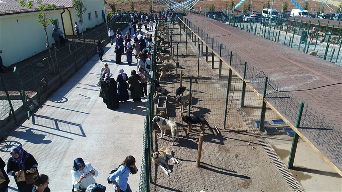 فندق للحيوانات في ولاية وسط تركيا6.jpg